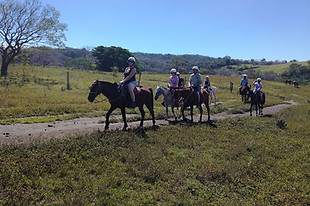 Guaacaste Natue Tours Costa Rica