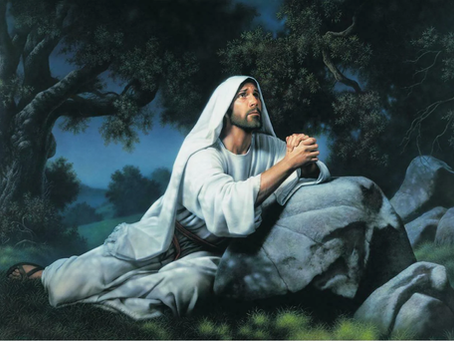 Amando a Igreja como Jesus (Livreto)
