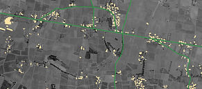 CARS 1991 PLAN_edited.jpg