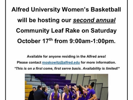 Community Leaf Rake