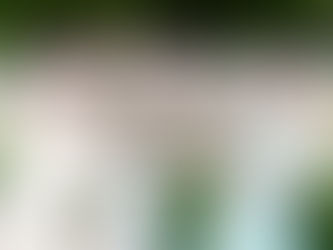 OCEAN整骨院では産後矯正、猫背矯正、骨盤矯正、背骨矯正、疼痛特化整体、シンデレラダイエットなどの豊富な施術であなたの悩みの解決をお手伝い致します‍♂️‍♀️「産後の骨盤を整えたい！」「結婚式までに絶対に痩せたい！」「あのころの服をもう一度着たい！」「猫背を治したい」「人生を変えたい！」と本気で体の不調改善を徹底的に全力でサポート致します‍♀️またシンデレラダイエットは、〇分子栄養学に基づ...