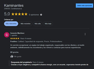 google opiniones.jpeg