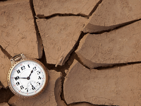 Don't Let Your Leads Slip Through the Cracks