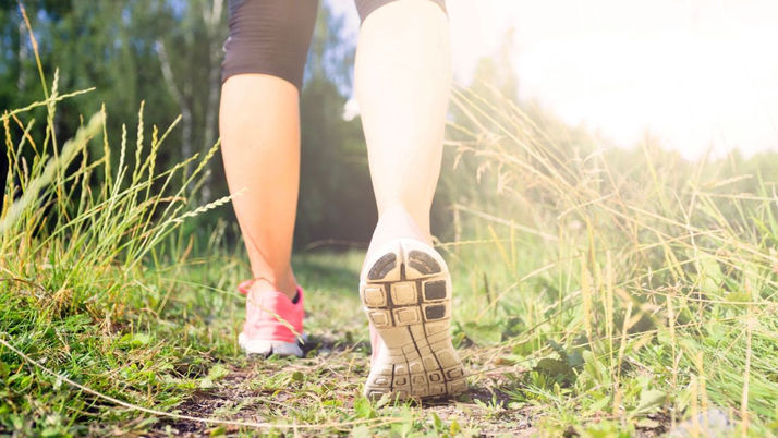 Hit the trail for a 5K Grassy Waters run against invasives