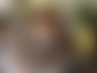 「小さな手のひら事典 天使」