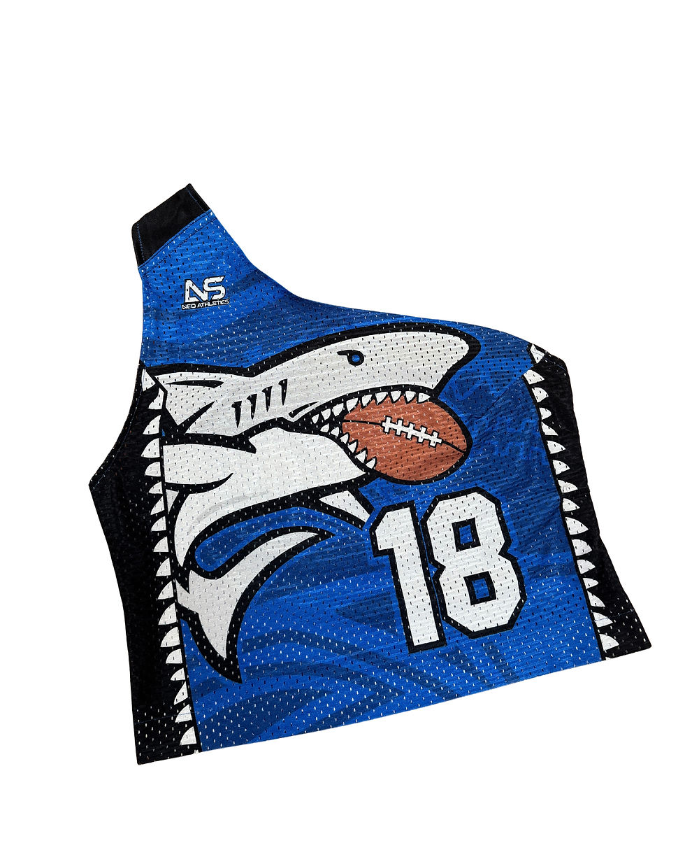 Miniature : Shark 18  