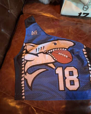 Miniature : Shark 18  