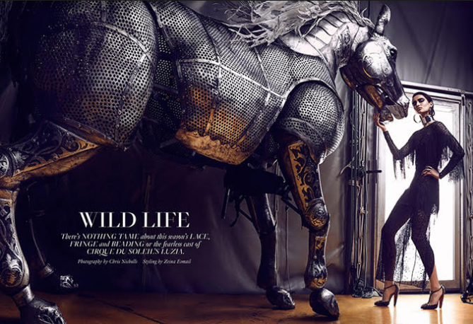 Finition Cheval Luzia