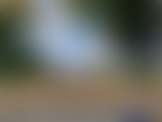 Nouveau projet: Rénovation de taille à Tamarina