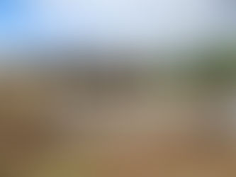 New project: Renovation at Tamarina