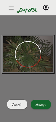 5. AI Analyzing Photo.png