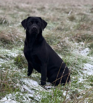 2022 12 12 - Nessie 2.jpg