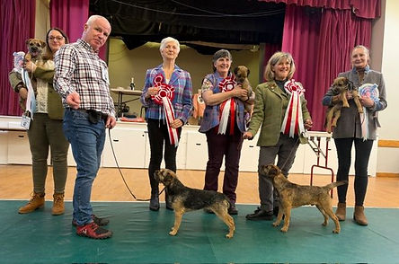 YLC Border Terrier Club 2026 - winners.jpg