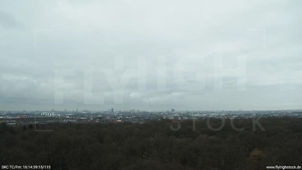 Hamburg Stadtpark Zuflug Skyline tagsüber bewölkt Winter