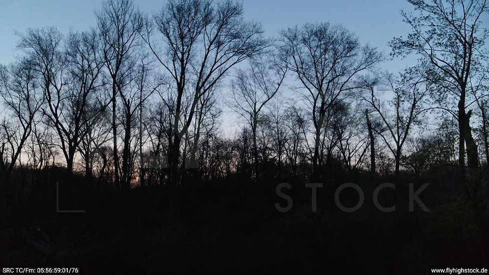 Thumbnail: Berlin Tiergarten Skyline Hub morgens 2