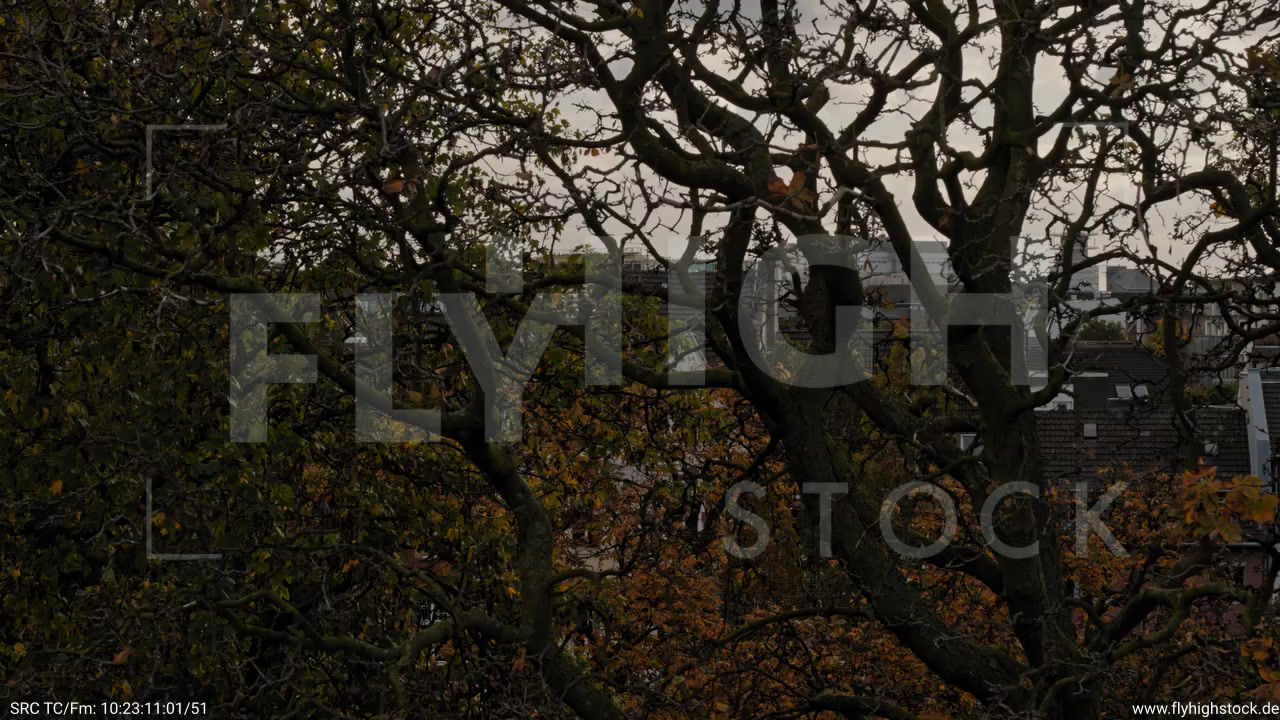 Köln Stadtgarten Hub C083_C004