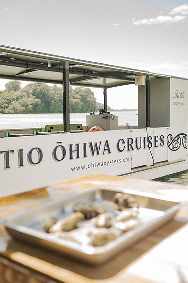 Tio Ohiwa Cruises.jpg