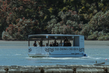 Tio Ohiwa Cruises Boat