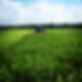 FADD7635-0088-4B1C-99E9-2CB5237B2F4D.JPG