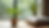 Close-up view of a small indoor plant beside a meditation cushion