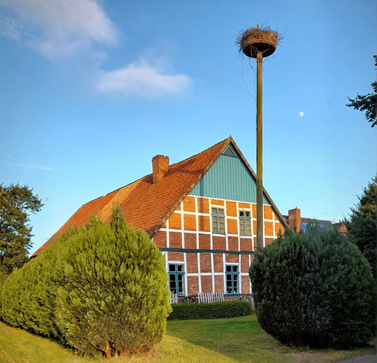 Außenansicht des Museums in Oersdorf mit einem Storchenhorst im Vordergrund