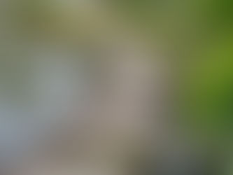 Truly Embracing Ebbs