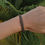 Thumbnail: lavira bracelet