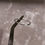 Thumbnail: signet ring