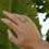 Thumbnail: luna ring