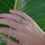 Thumbnail: luna ring