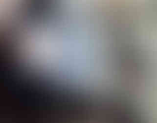 55" Digital Window Display