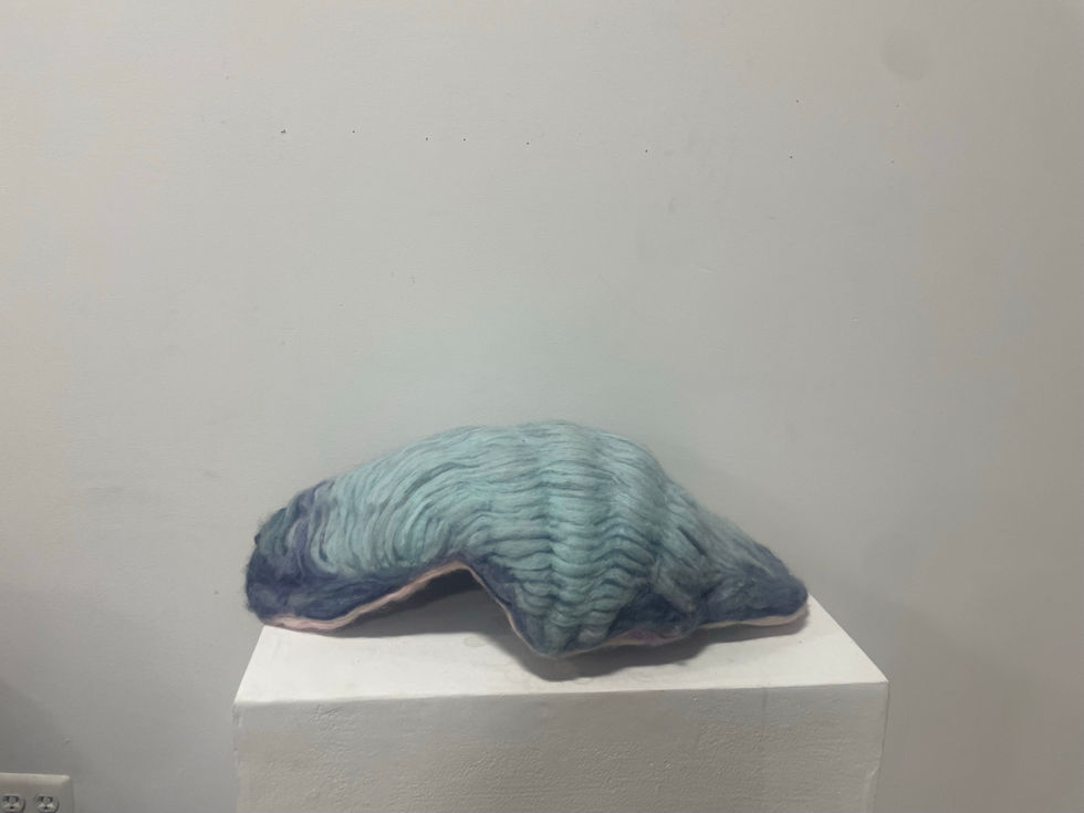 image6