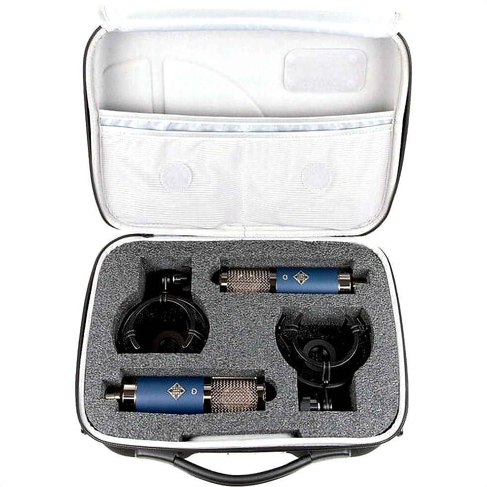Telefunken TF11 1:1クローン Amazon.com: Telefunken TF11 Large-diaphragm FET Condenser
