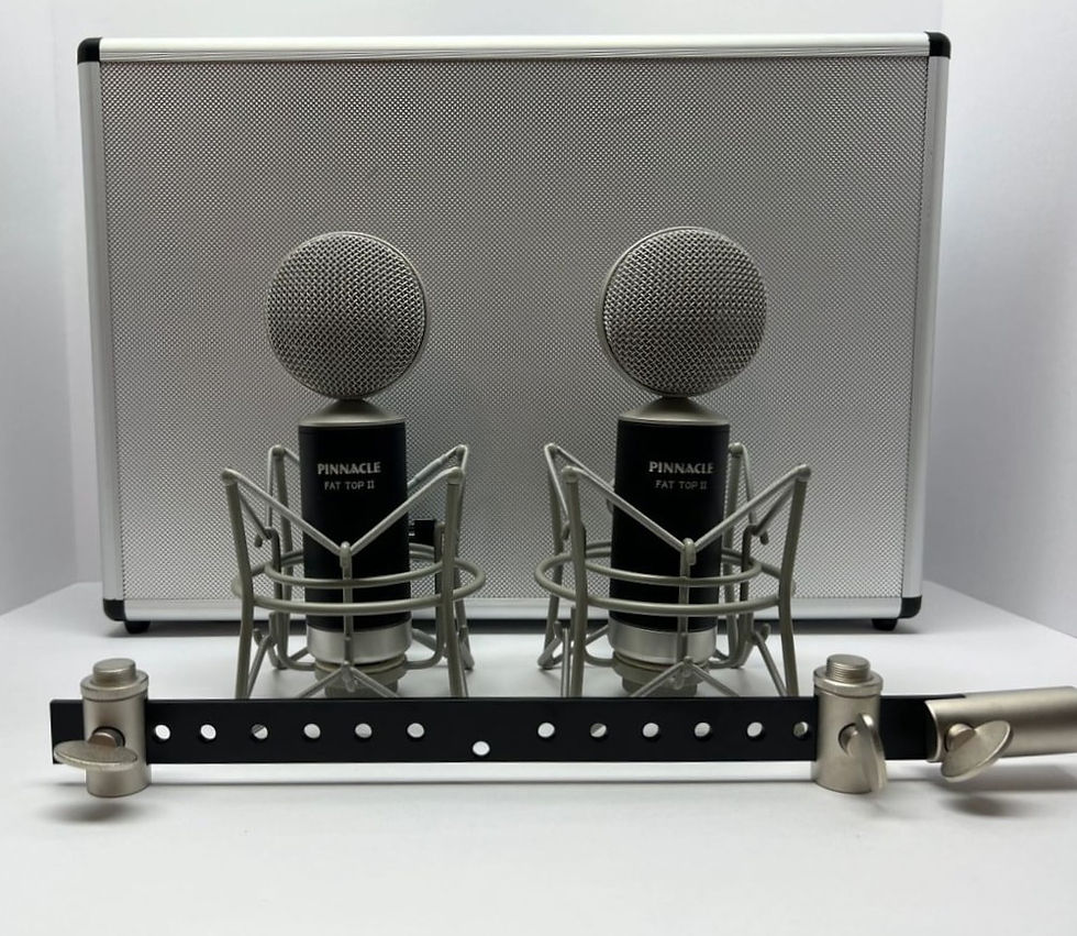 Pinnacle Microphones Fat Top II Black w/Lundahl Stereo Pair