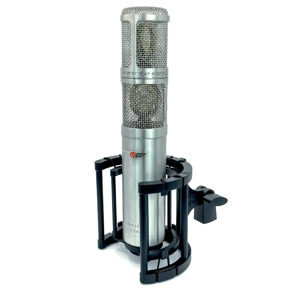 Thumbnail: Vanguard Audio Labs V24 Stereo Tube Condenser Microphone