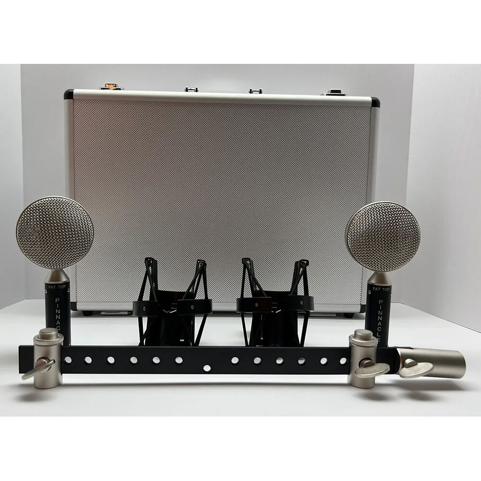 Thumbnail: Pinnacle Microphones Fat Top Black Stereo Pair