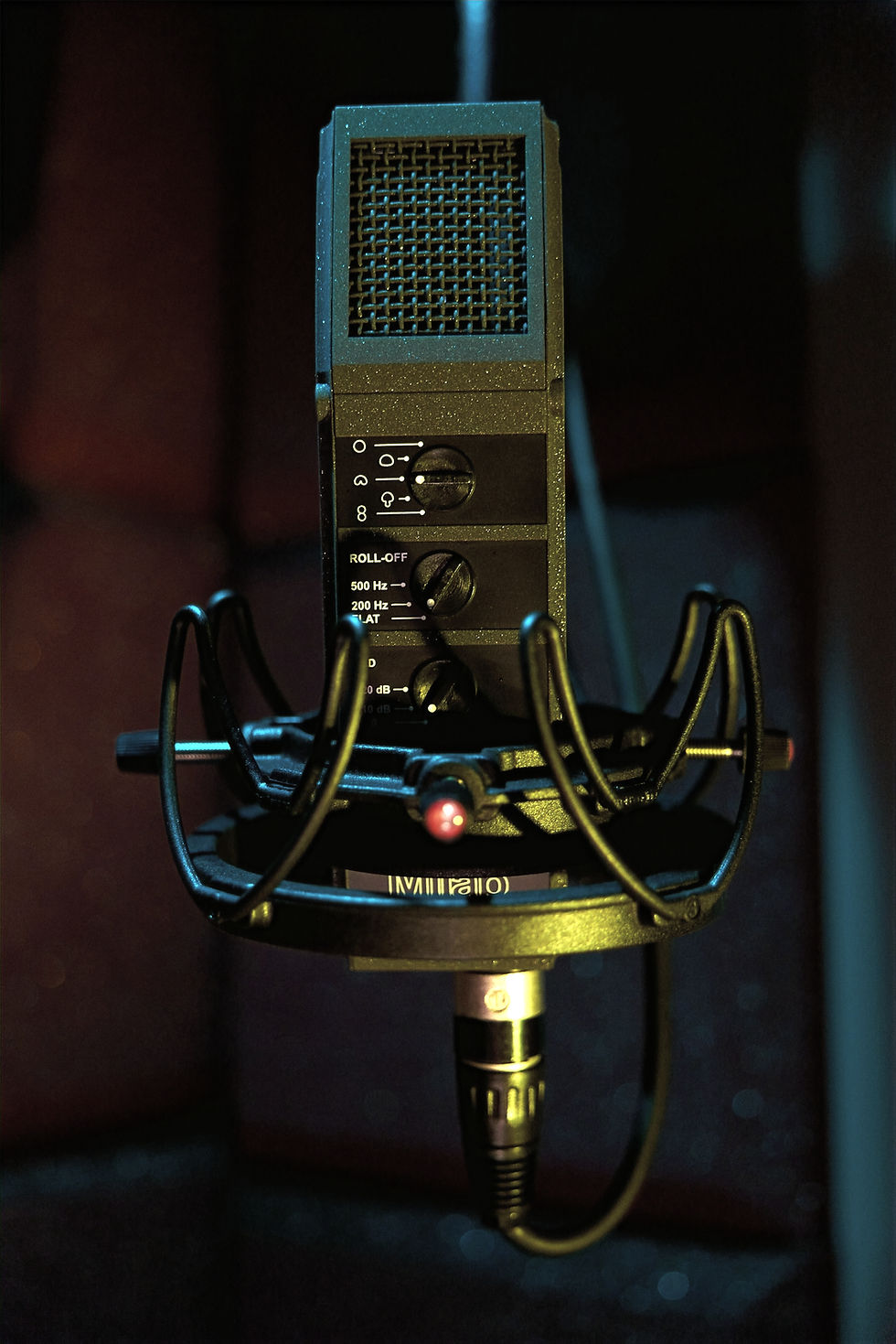 Thumbnail: Milab VIP-60 Multi-Pattern Large Diaphragm Condenser Microphone