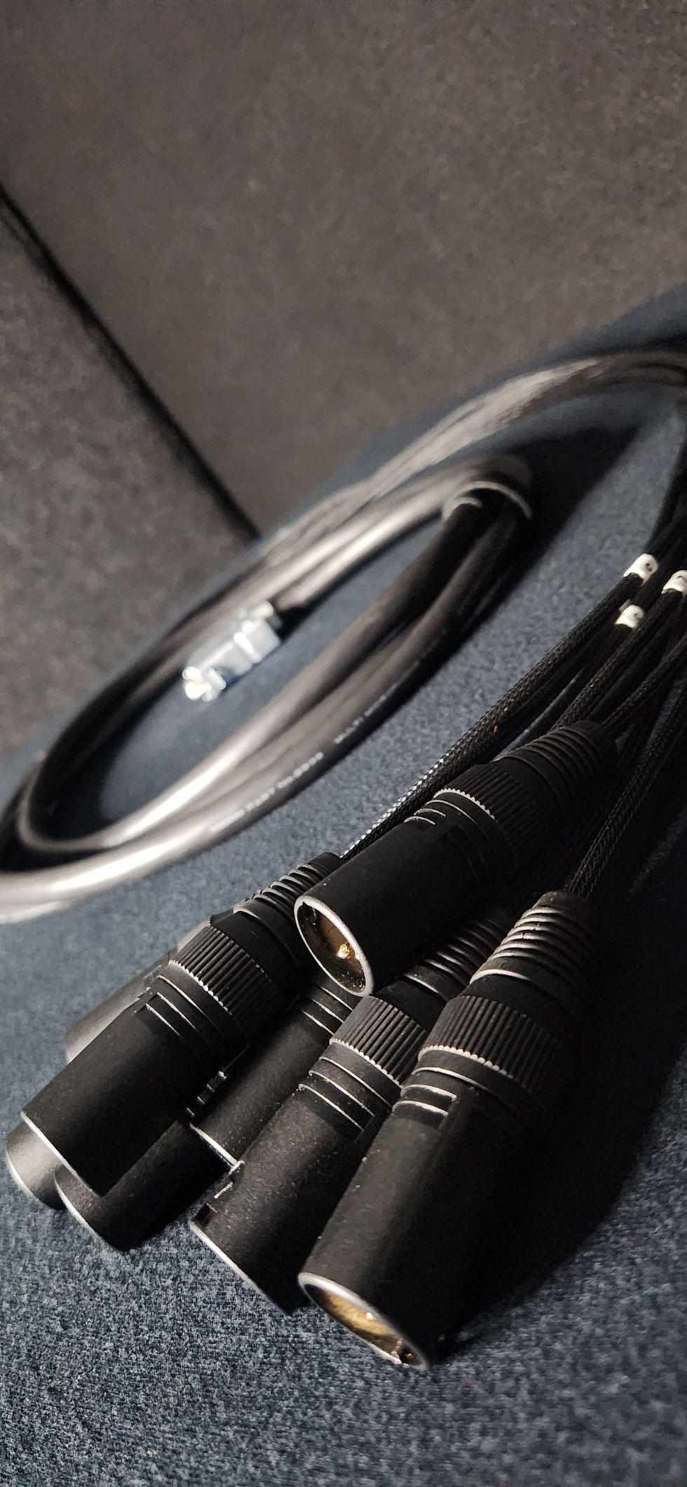 Thumbnail: Red Beard Pro Audio Custom DB25-XLRM 12ft Cable