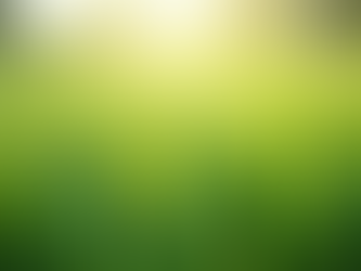 Seasonal Lawn Care Essentials for a Healthy Lawn