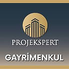 projekspert.jpeg