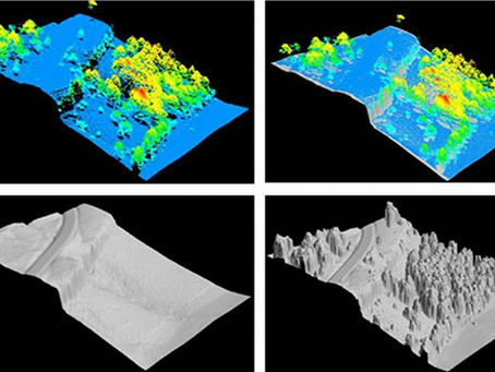 Cuestión de método: Modelización vs. Conceptualización