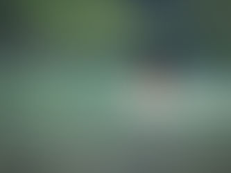 Arrojándose a la Corriente