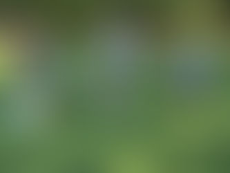 Un mois d’aout bien chargé !!!