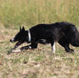 IMG_98152.jpg