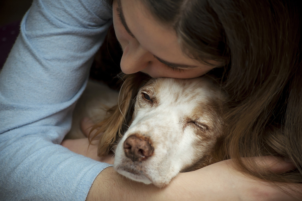 Woman hugging dying dog
