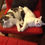 Thumbnail: Two Animal Fabric Portrait - CUSTOM
