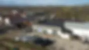 Bluestone Tree 5_result.webp