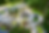 high_res-530-1.png