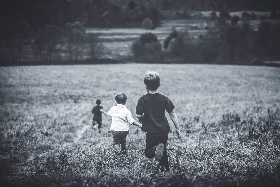 Photo of a field