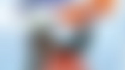 INGLESE DIVERTENTE 2017